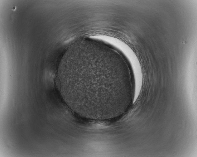 X0000086970235200704301304