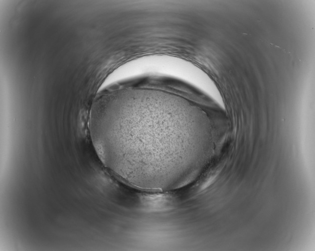 X0000086970237200704301304