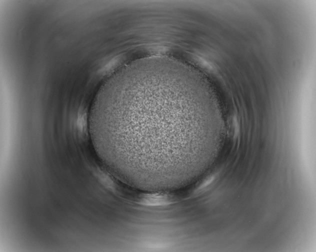 X0000086970238200704301304