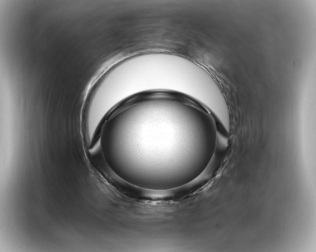 X0000086970244200704301303