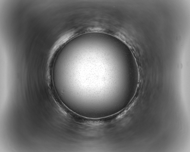 X0000086970245200704301303