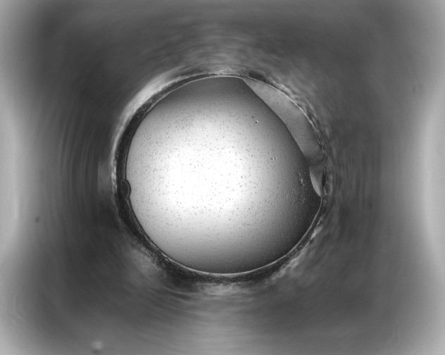 X0000086970246200704301303