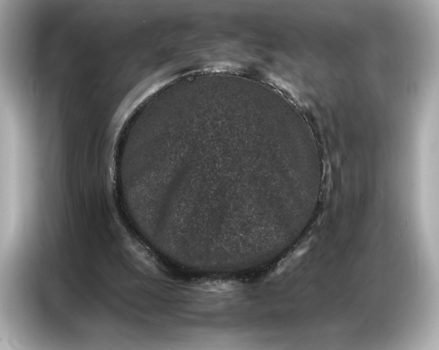 X0000086970247200704301303