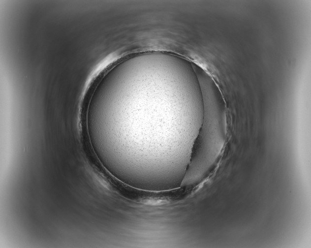 X0000086970248200704301303