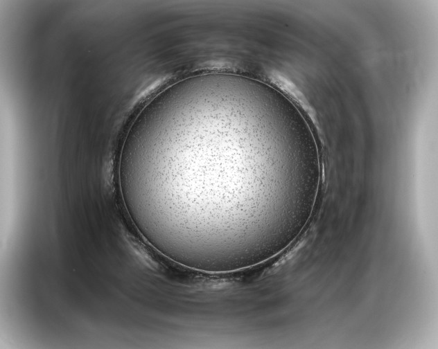 X0000086970249200704301303