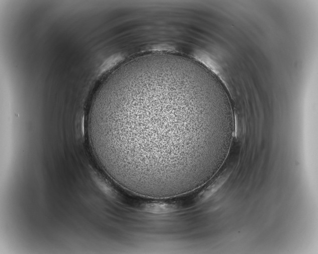 X0000086970253200704301303