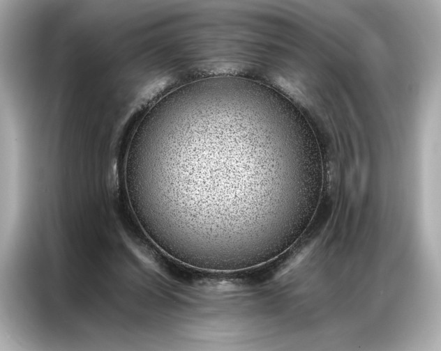 X0000086970254200704301303