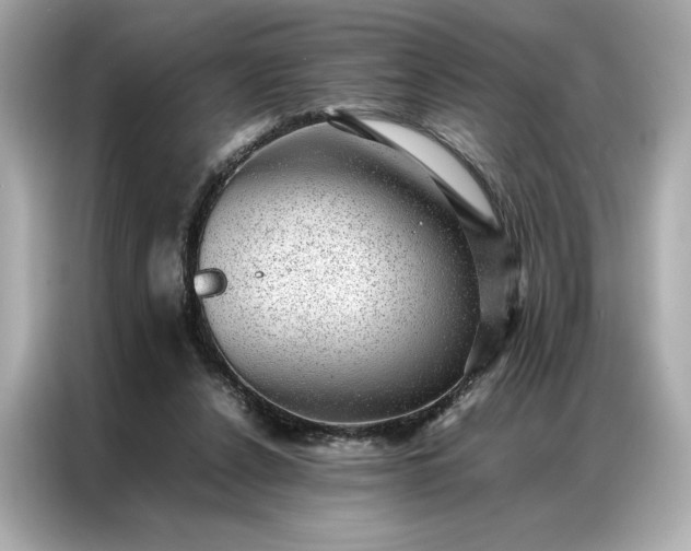 X0000086970256200704301303