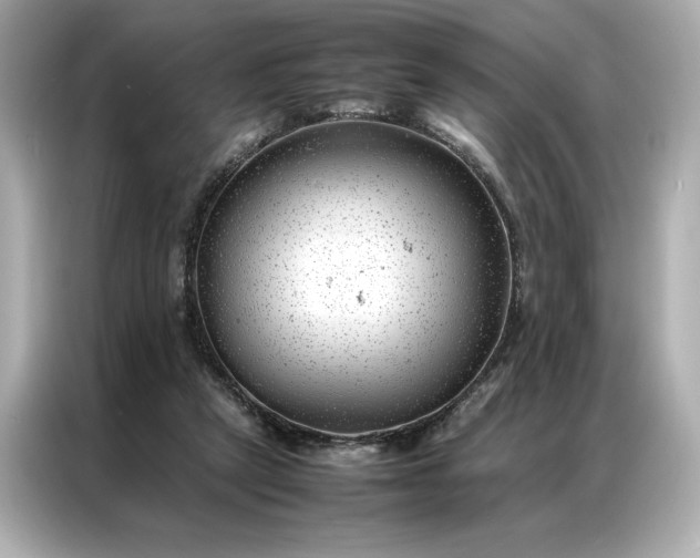 X0000086970257200704301303