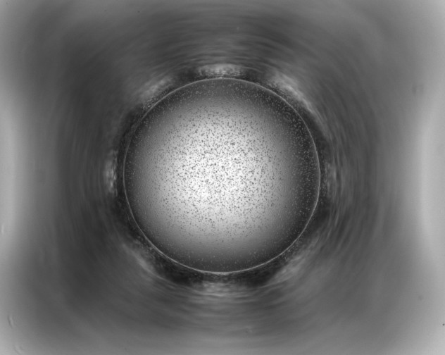 X0000086970259200704301303