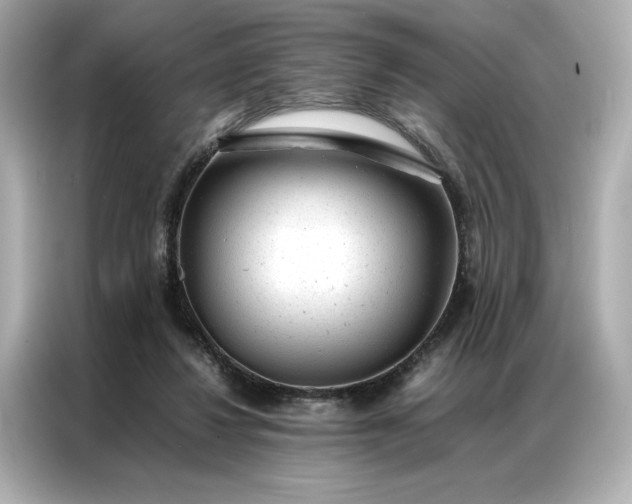 X0000086970260200704301303