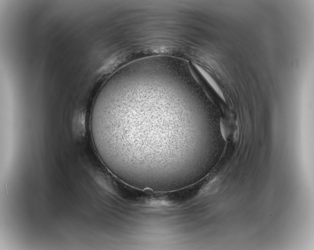 X0000086970262200704301303