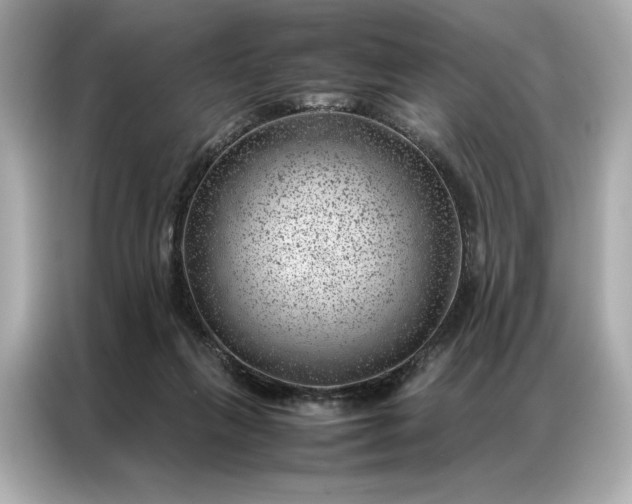 X0000086970263200704301303