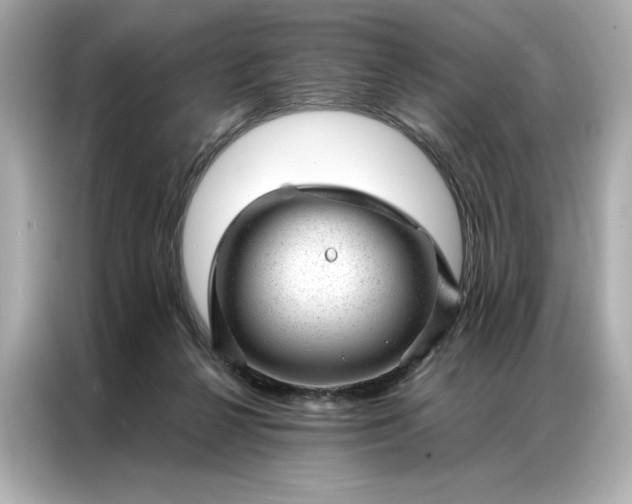 X0000086970264200704301303