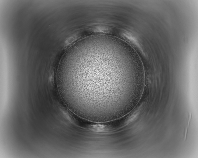 X0000086970265200704301303