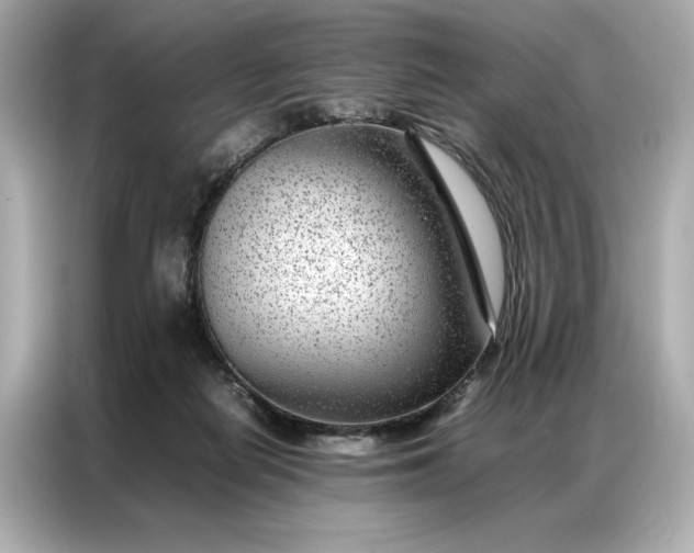 X0000086970266200704301303