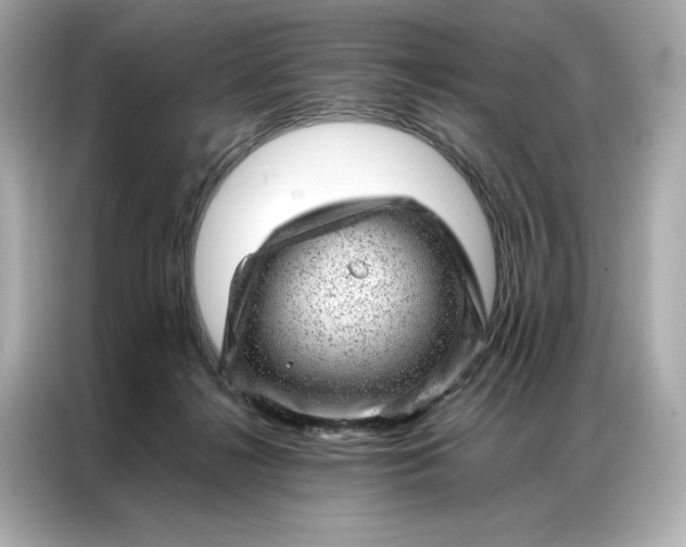 X0000086970268200704301303