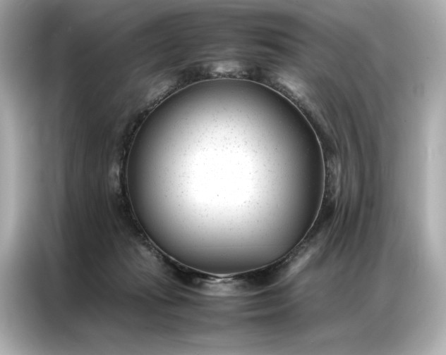 X0000086970269200704301303