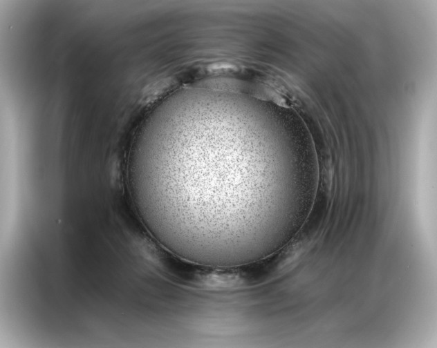 X0000086970270200704301303