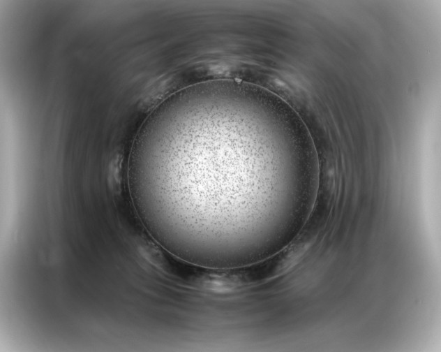 X0000086970275200704301303