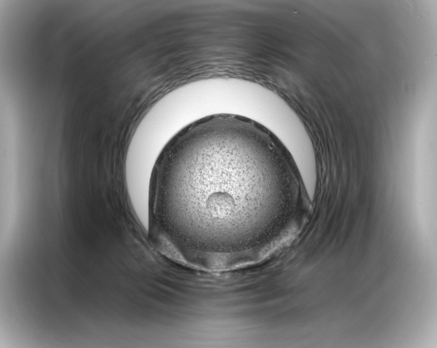 X0000086970276200704301303