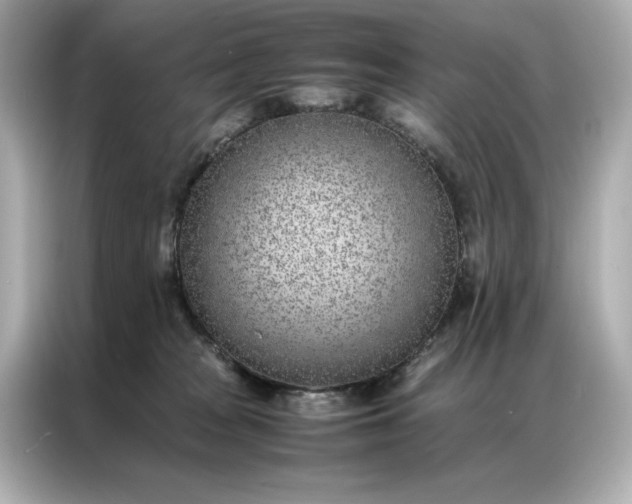 X0000086970277200704301303