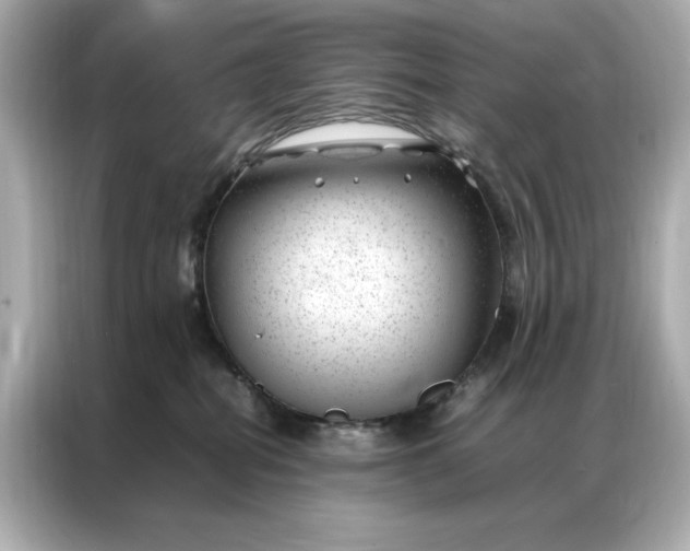 X0000086970282200704301304