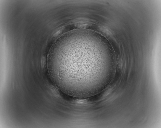 X0000086970283200704301304