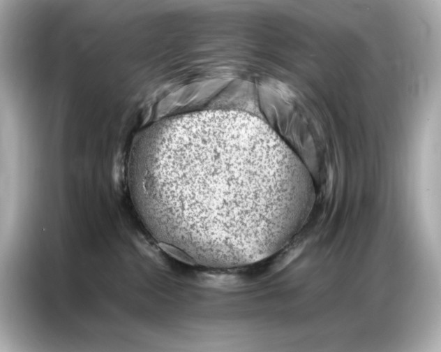 X0000086970284200704301304