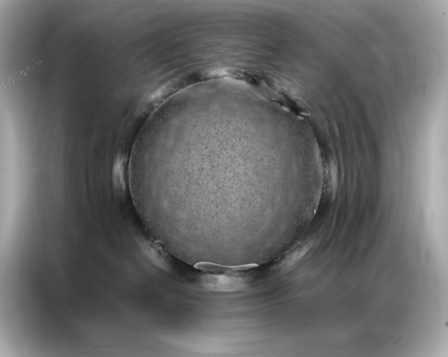 X0000086970286200704301304