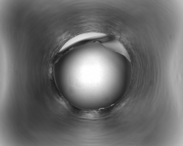 X0000086970288200704301304