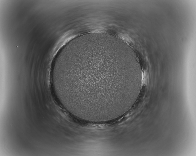 X0000086970291200704301303