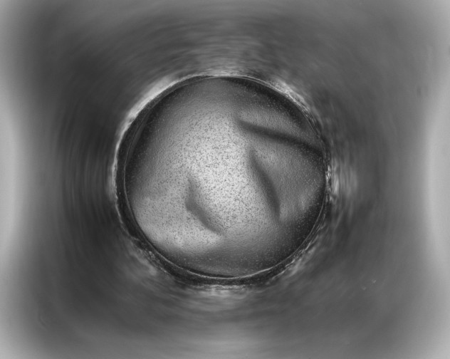 X0000086970292200704301303