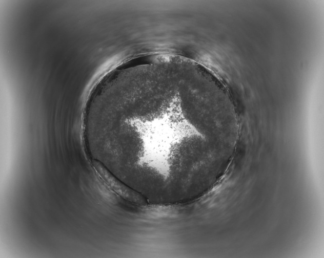 X0000086970293200704301303