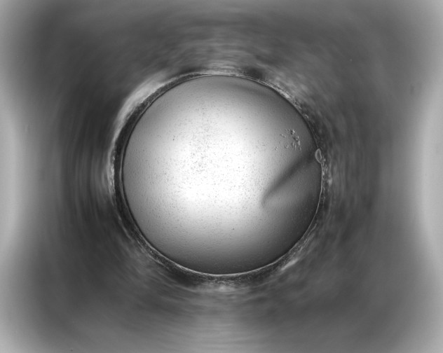 X0000086970294200704301303