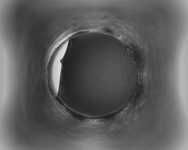 X0000086970295200704301303