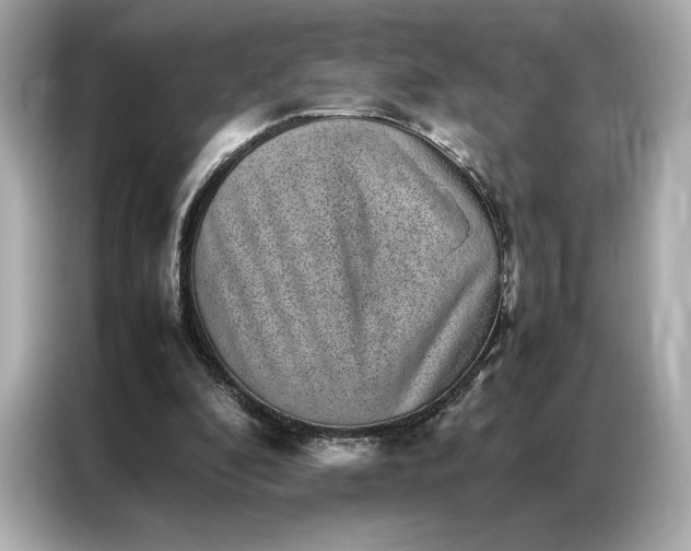 X0000086970296200704301303