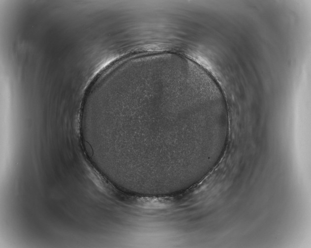 X0000086970297200704301303