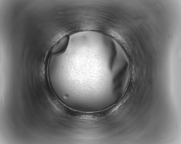 X0000086970298200704301303