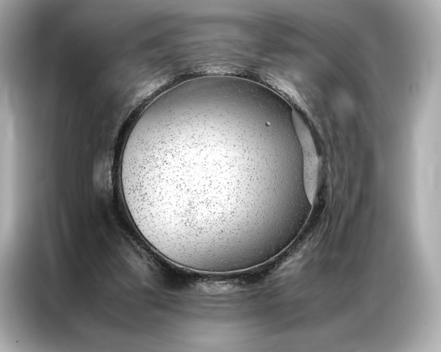 X0000086970299200704301303