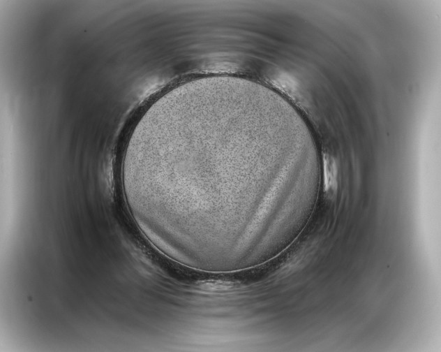 X0000086970300200704301303