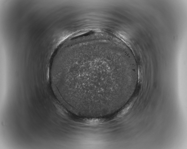 X0000086970301200704301303