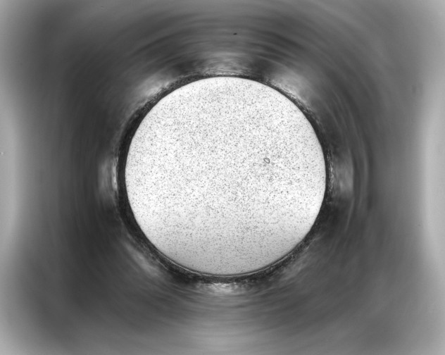 X0000086970302200704301303