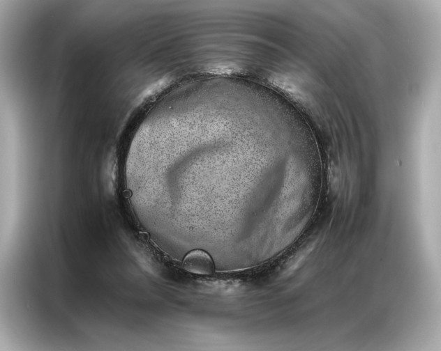 X0000086970304200704301303