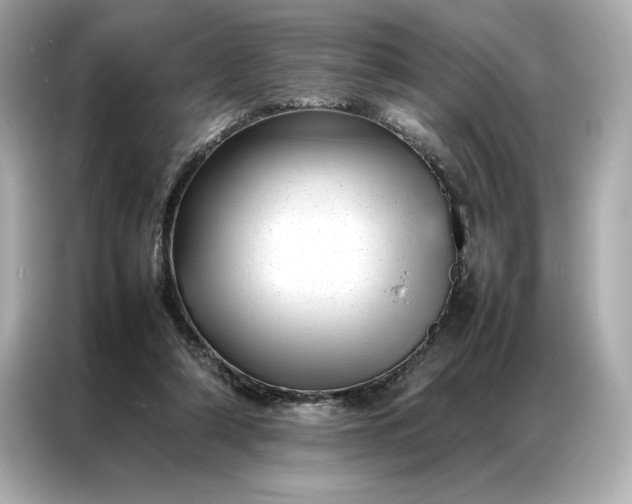 X0000086970306200704301303