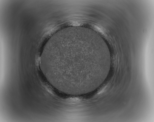 X0000086970307200704301303