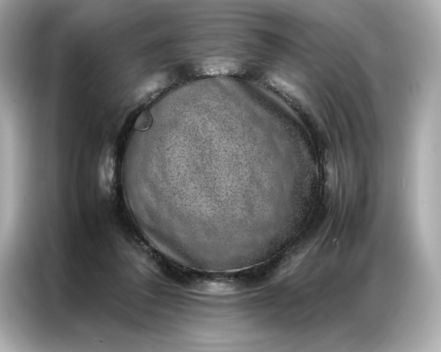 X0000086970308200704301303