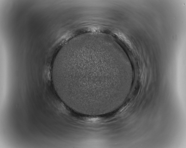 X0000086970313200704301303