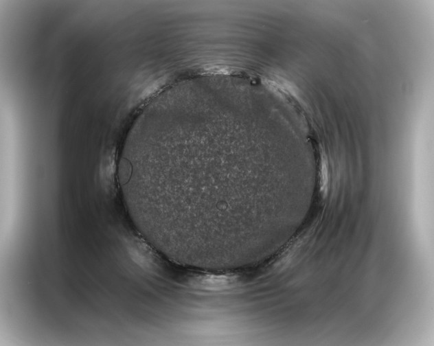 X0000086970314200704301303