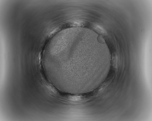 X0000086970318200704301303